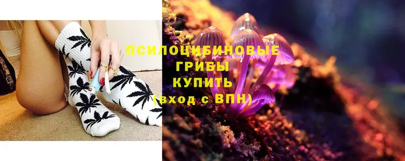 что такое наркотик  Люберцы  Галлюциногенные грибы Psilocybe 